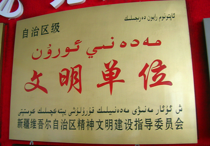 1466743234333238.jpg 公司獎(jiǎng)牌 002.jpg